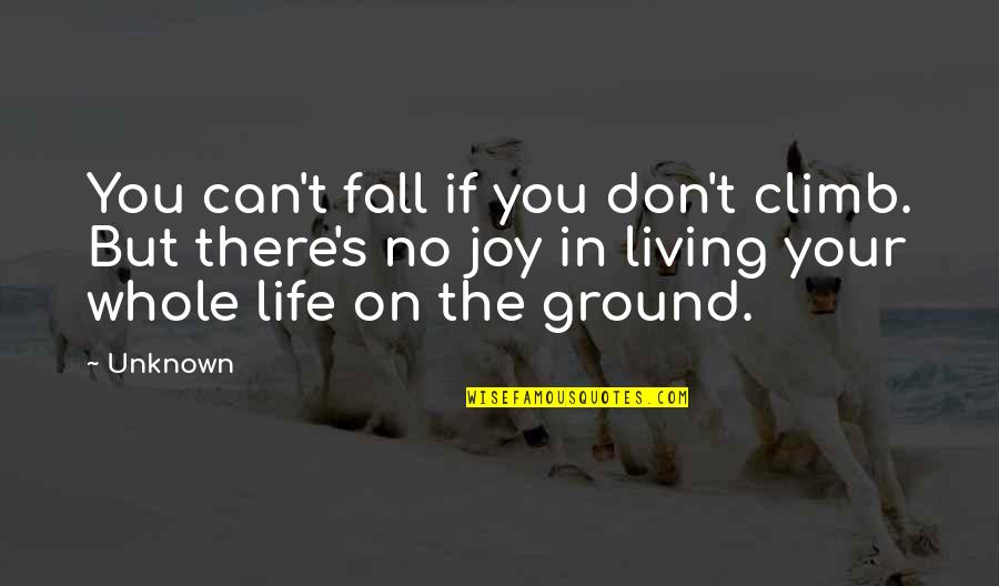 Joy In Life Quotes By Unknown: You can't fall if you don't climb. But