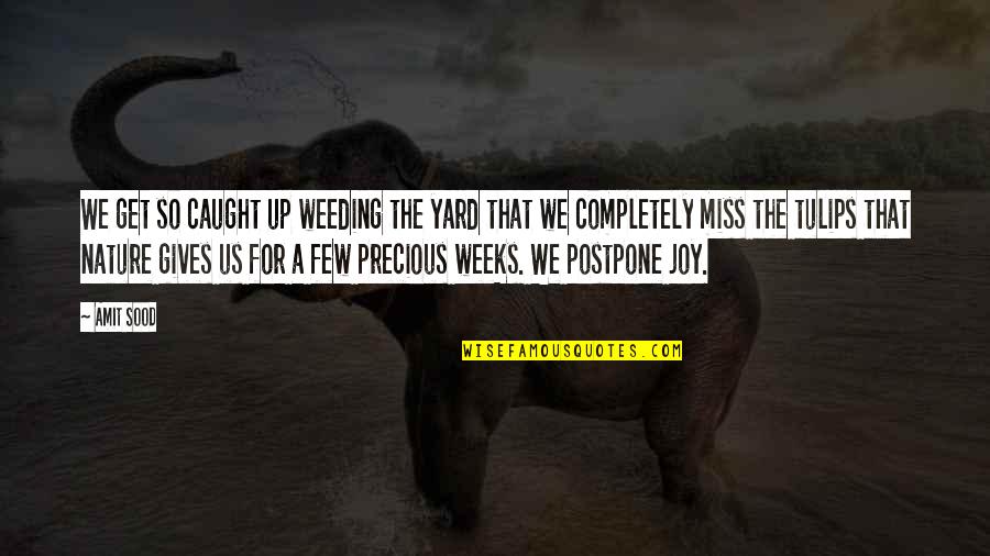 Joy In Nature Quotes By Amit Sood: We get so caught up weeding the yard Joy In Nature Quotes By Amit Sood: We get so caught up weeding the yard