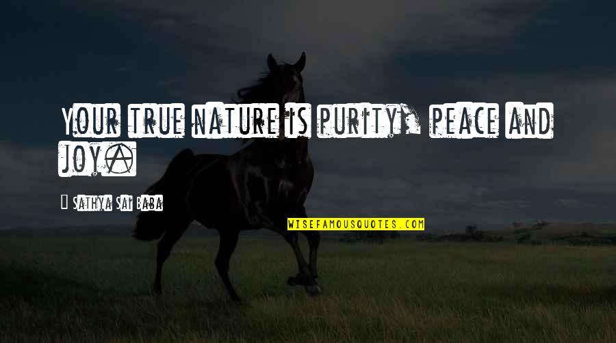 Joy In Nature Quotes By Sathya Sai Baba: Your true nature is purity, peace and joy. Joy In Nature Quotes By Sathya Sai Baba: Your true nature is purity, peace and joy.