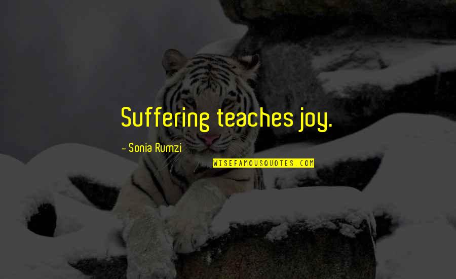 Joy In Suffering Quotes By Sonia Rumzi: Suffering teaches joy.