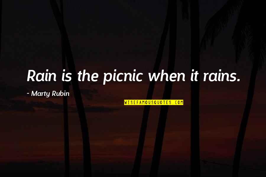 Joy In The Rain Quotes By Marty Rubin: Rain is the picnic when it rains.