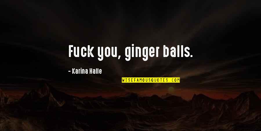 Joy Is Hard To Find Quotes By Karina Halle: Fuck you, ginger balls.