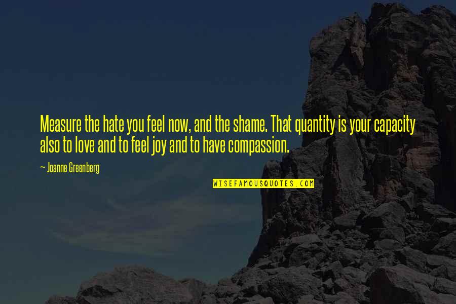 Joy Of Compassion Quotes By Joanne Greenberg: Measure the hate you feel now, and the