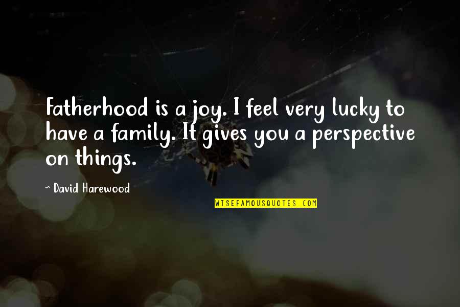 Joy Of Family Quotes By David Harewood: Fatherhood is a joy. I feel very lucky