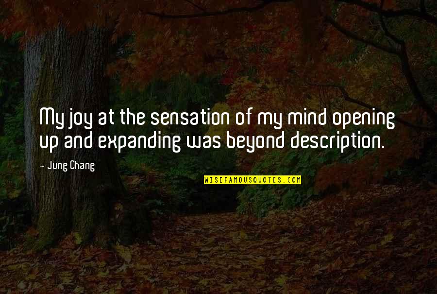 Joy Of Reading Quotes By Jung Chang: My joy at the sensation of my mind