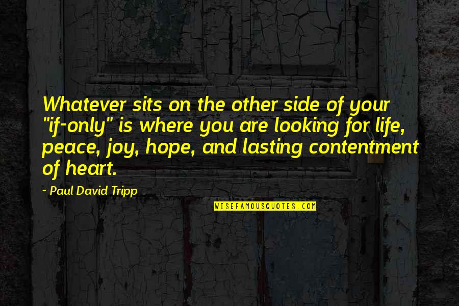 Joy Of The Heart Quotes By Paul David Tripp: Whatever sits on the other side of your