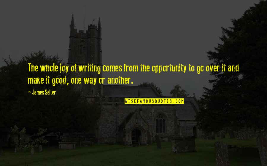 Joy Of Writing Quotes By James Salter: The whole joy of writing comes from the