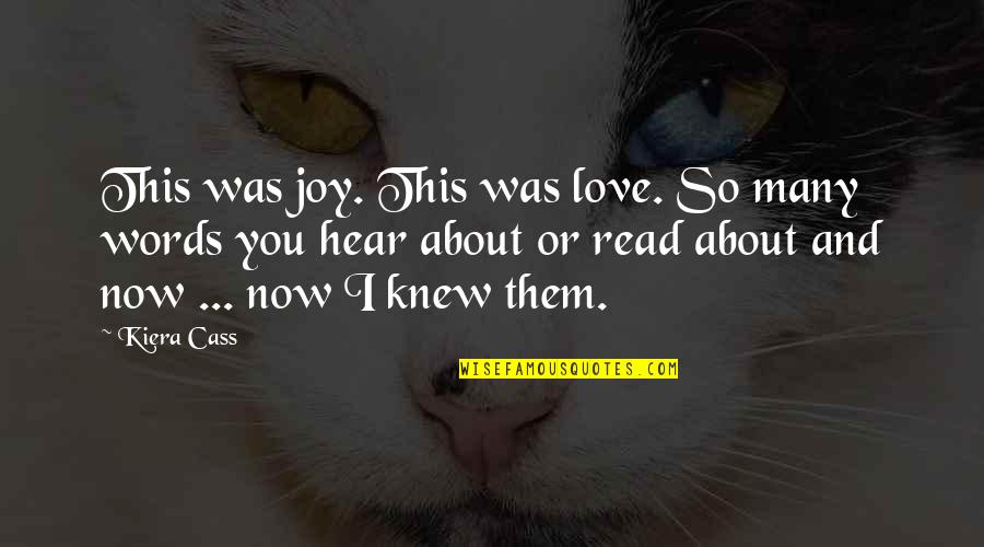 Joy Read Quotes By Kiera Cass: This was joy. This was love. So many