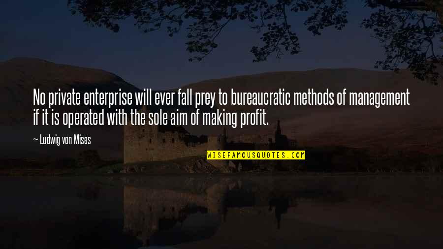 Joy Ride 1 Quotes By Ludwig Von Mises: No private enterprise will ever fall prey to