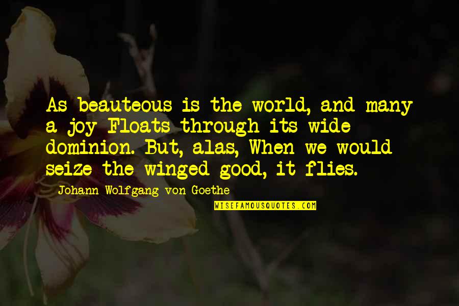 Joy Through Quotes By Johann Wolfgang Von Goethe: As beauteous is the world, and many a