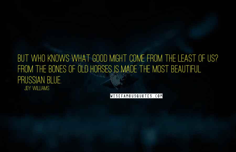 Joy Williams quotes: But who knows what good might come from the least of us? From the bones of old horses is made the most beautiful Prussian Blue.