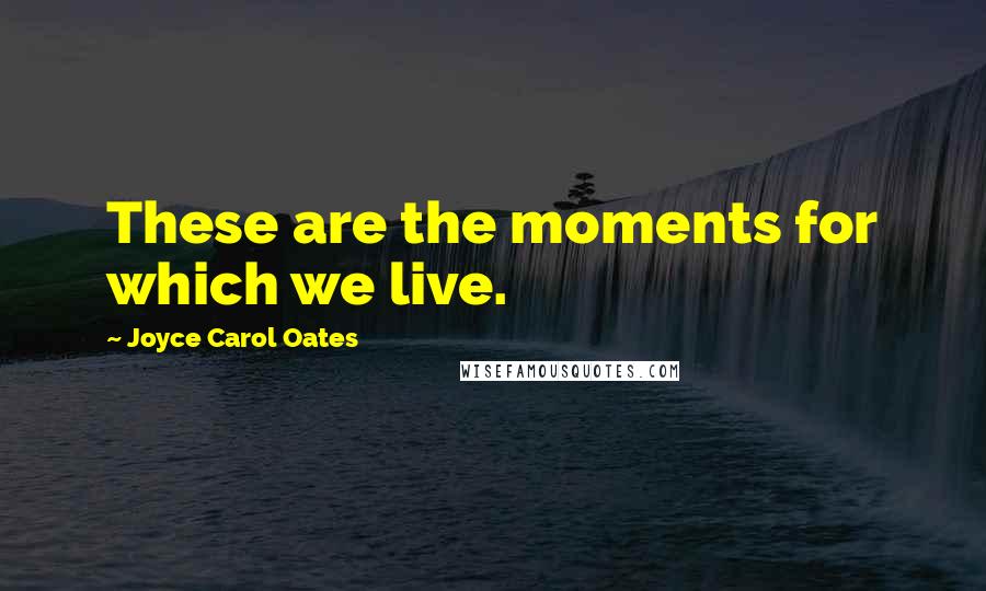 Joyce Carol Oates quotes: These are the moments for which we live.