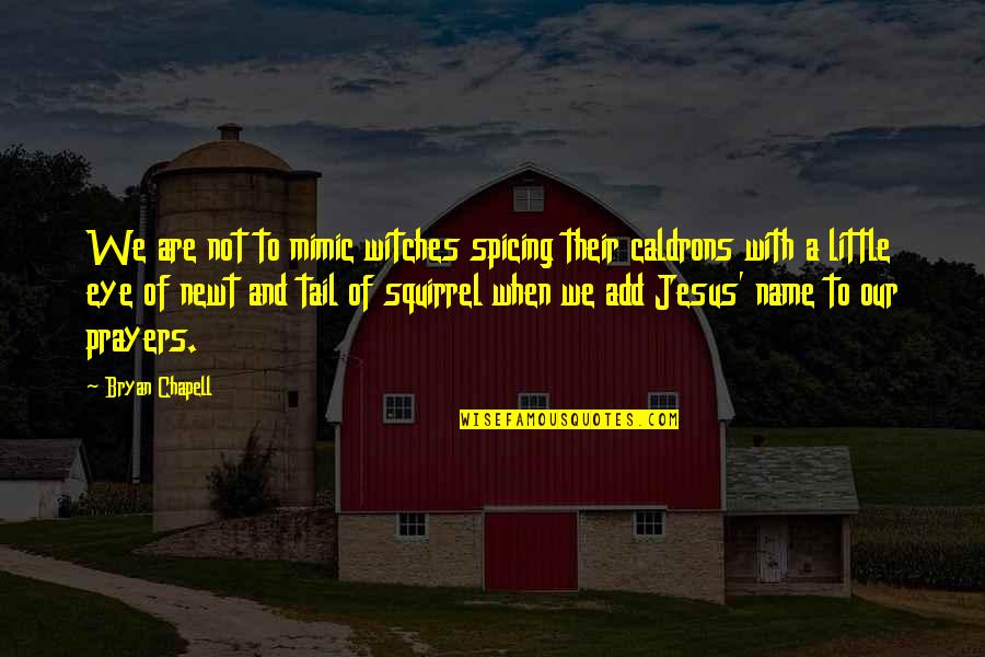 Joyce Maguire Pavao Quotes By Bryan Chapell: We are not to mimic witches spicing their