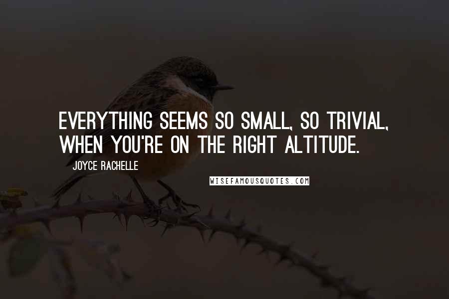 Joyce Rachelle quotes: Everything seems so small, so trivial, when you're on the right altitude.