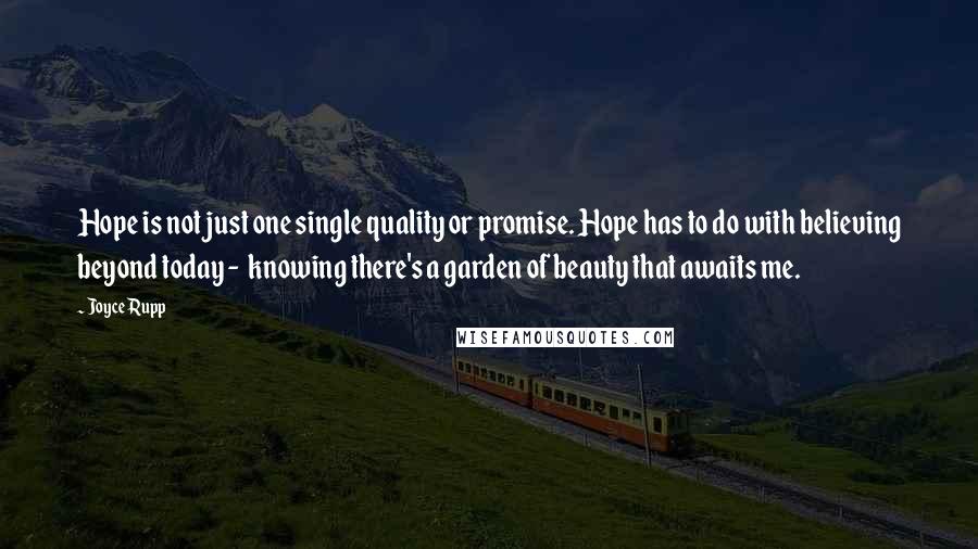 Joyce Rupp quotes: Hope is not just one single quality or promise. Hope has to do with believing beyond today - knowing there's a garden of beauty that awaits me.