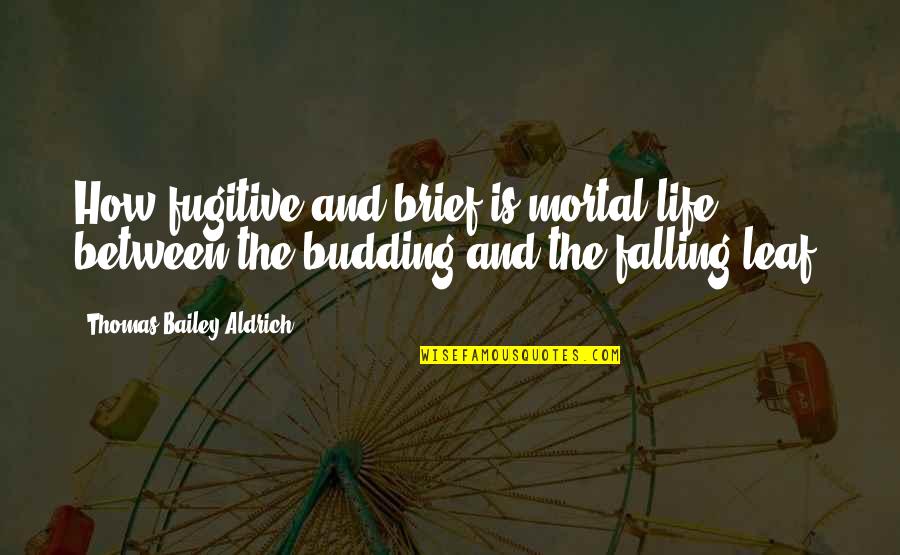 Joyette Vitas Quotes By Thomas Bailey Aldrich: How fugitive and brief is mortal life between Joyette Vitas Quotes By Thomas Bailey Aldrich: How fugitive and brief is mortal life between