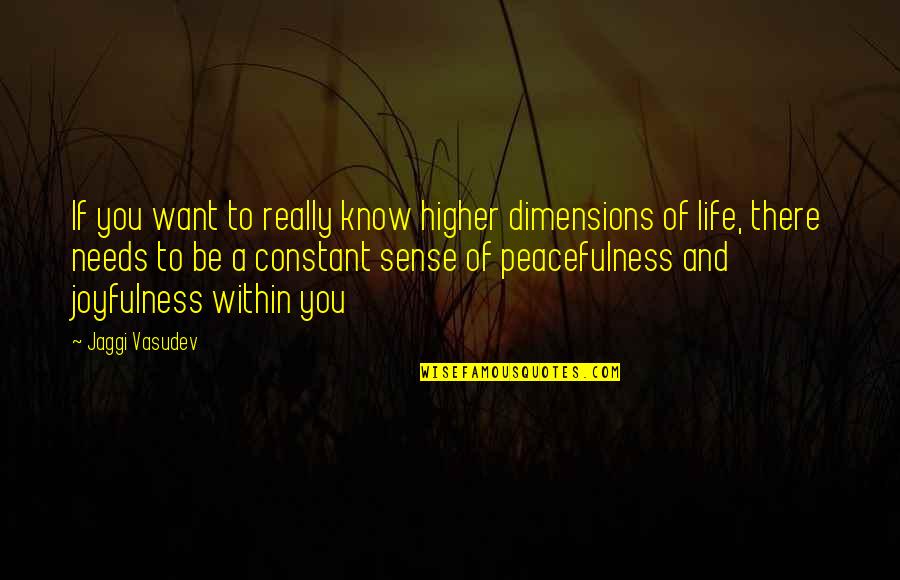 Joyfulness Quotes By Jaggi Vasudev: If you want to really know higher dimensions