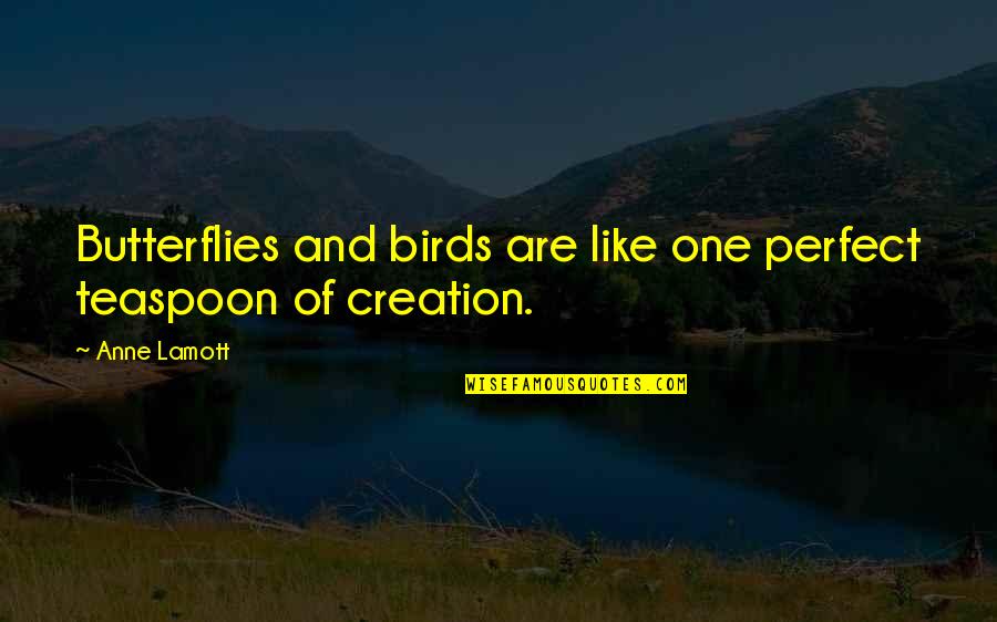 Joyride Movie Quotes By Anne Lamott: Butterflies and birds are like one perfect teaspoon