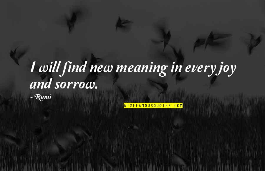 Joys And Sorrows Quotes By Rumi: I will find new meaning in every joy