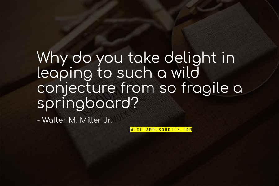 Jr Miller Quotes By Walter M. Miller Jr.: Why do you take delight in leaping to