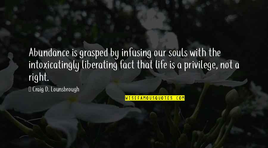 Jrgen Quotes By Craig D. Lounsbrough: Abundance is grasped by infusing our souls with