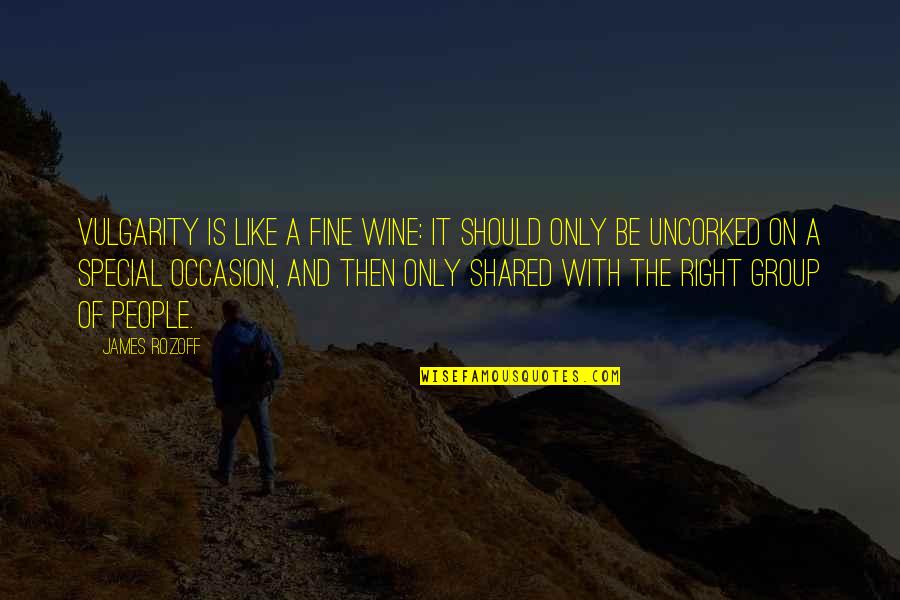 Jrosewritings Quotes By James Rozoff: Vulgarity is like a fine wine: it should