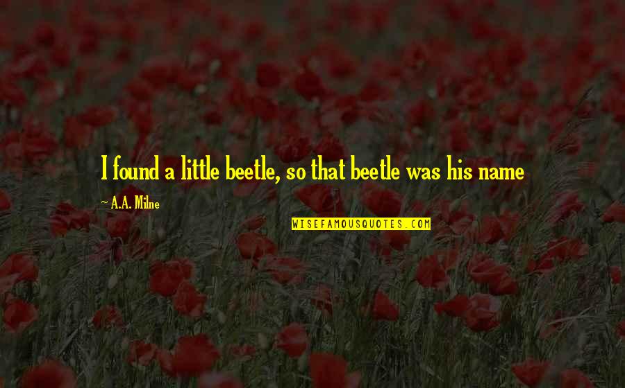 Json Boolean Quotes By A.A. Milne: I found a little beetle, so that beetle Json Boolean Quotes By A.A. Milne: I found a little beetle, so that beetle