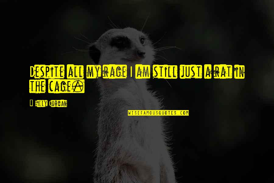 Json Parse Without Quotes By Billy Corgan: Despite all my rage I am still just Json Parse Without Quotes By Billy Corgan: Despite all my rage I am still just