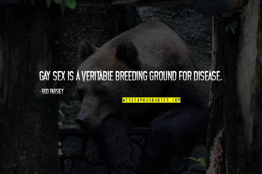 Json String Containing Quotes By Rod Parsley: Gay sex is a veritable breeding ground for Json String Containing Quotes By Rod Parsley: Gay sex is a veritable breeding ground for