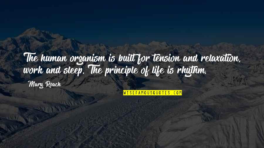 Jt Quotes By Mary Roach: The human organism is built for tension and Jt Quotes By Mary Roach: The human organism is built for tension and