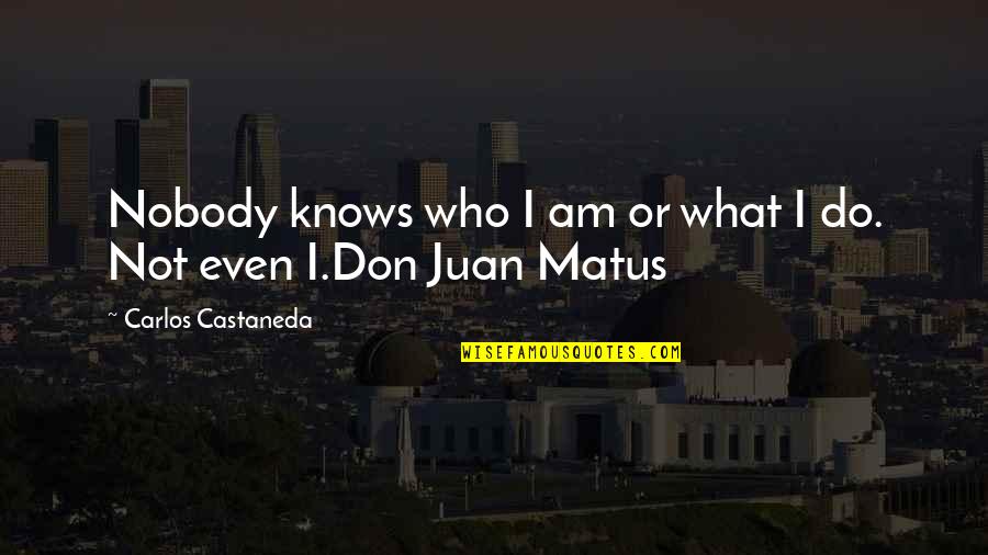 Juan Carlos Quotes By Carlos Castaneda: Nobody knows who I am or what I