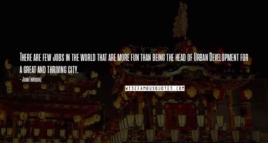 Juan Enriquez quotes: There are few jobs in the world that are more fun than being the head of Urban Development for a great and thriving city.