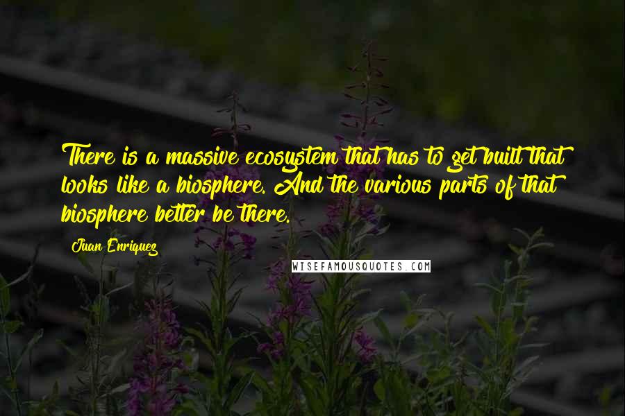 Juan Enriquez quotes: There is a massive ecosystem that has to get built that looks like a biosphere. And the various parts of that biosphere better be there.