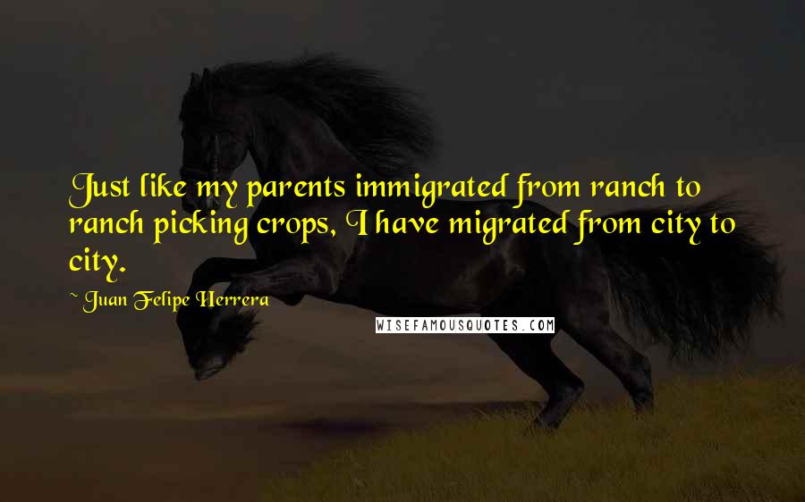 Juan Felipe Herrera quotes: Just like my parents immigrated from ranch to ranch picking crops, I have migrated from city to city. Juan Felipe Herrera quotes: Just like my parents immigrated from ranch to ranch picking crops, I have migrated from city to city.