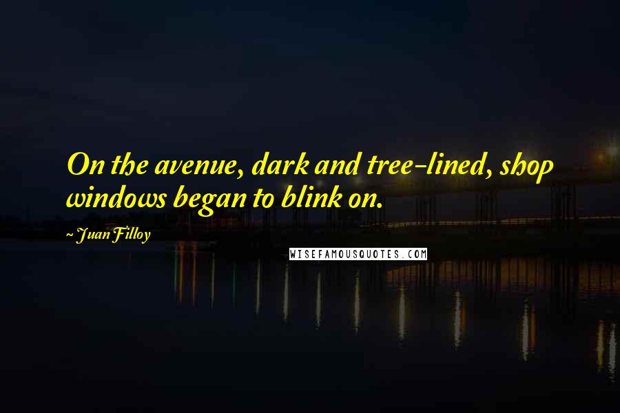 Juan Filloy quotes: On the avenue, dark and tree-lined, shop windows began to blink on.