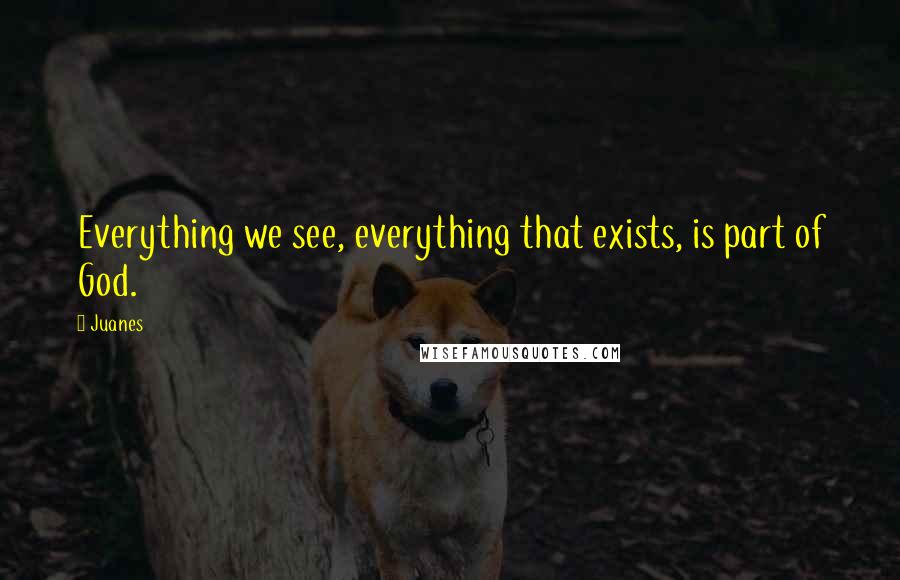 Juanes quotes: Everything we see, everything that exists, is part of God.