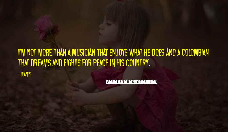 Juanes quotes: I'm not more than a musician that enjoys what he does and a Colombian that dreams and fights for peace in his country.