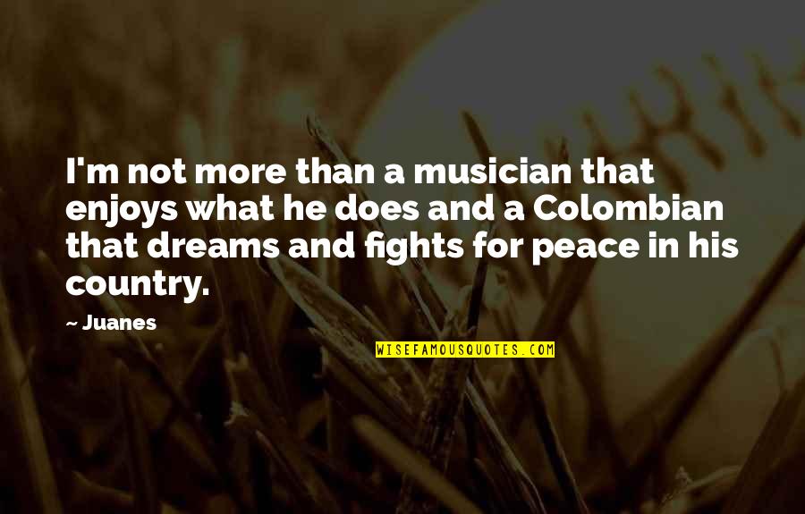 Juanes Quotes By Juanes: I'm not more than a musician that enjoys Juanes Quotes By Juanes: I'm not more than a musician that enjoys