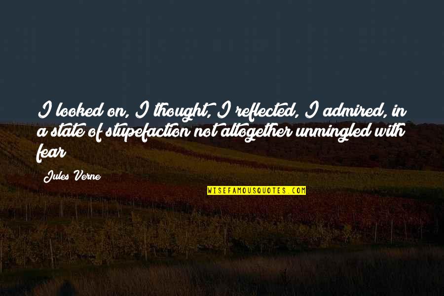 Juanita Craft Quotes By Jules Verne: I looked on, I thought, I reflected, I Juanita Craft Quotes By Jules Verne: I looked on, I thought, I reflected, I
