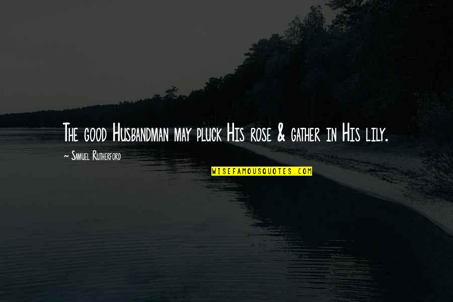 Juantorena Campeon Quotes By Samuel Rutherford: The good Husbandman may pluck His rose & Juantorena Campeon Quotes By Samuel Rutherford: The good Husbandman may pluck His rose &