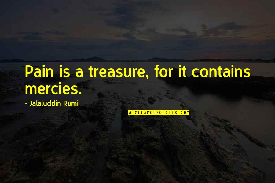 Jubei Kibagami Quotes By Jalaluddin Rumi: Pain is a treasure, for it contains mercies.