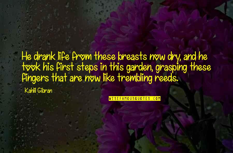 Jucci Tiled Quotes By Kahlil Gibran: He drank life from these breasts now dry, Jucci Tiled Quotes By Kahlil Gibran: He drank life from these breasts now dry,