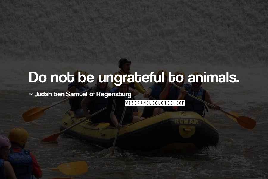 Judah Ben Samuel Of Regensburg quotes: Do not be ungrateful to animals.