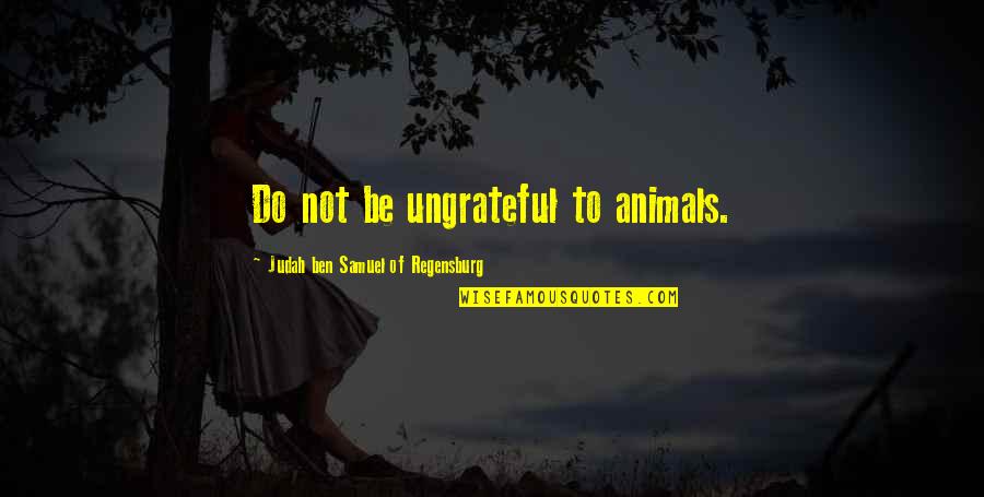Judah Quotes By Judah Ben Samuel Of Regensburg: Do not be ungrateful to animals.