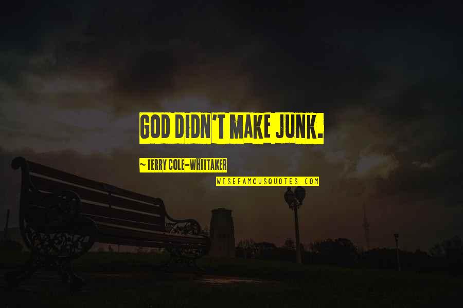 Judaica Plaza Quotes By Terry Cole-Whittaker: God didn't make junk.