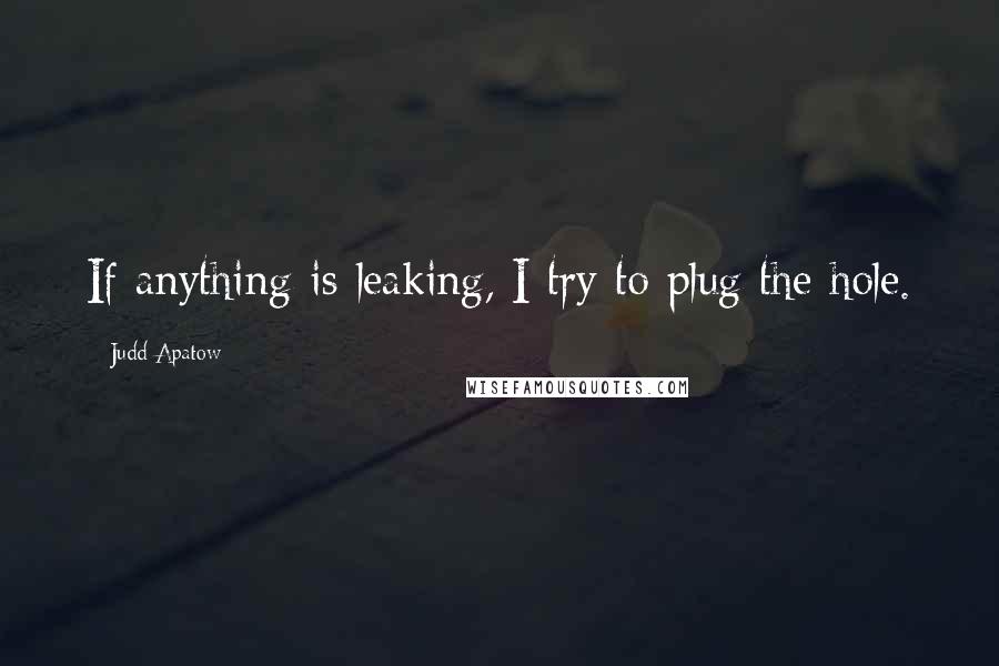 Judd Apatow quotes: If anything is leaking, I try to plug the hole.