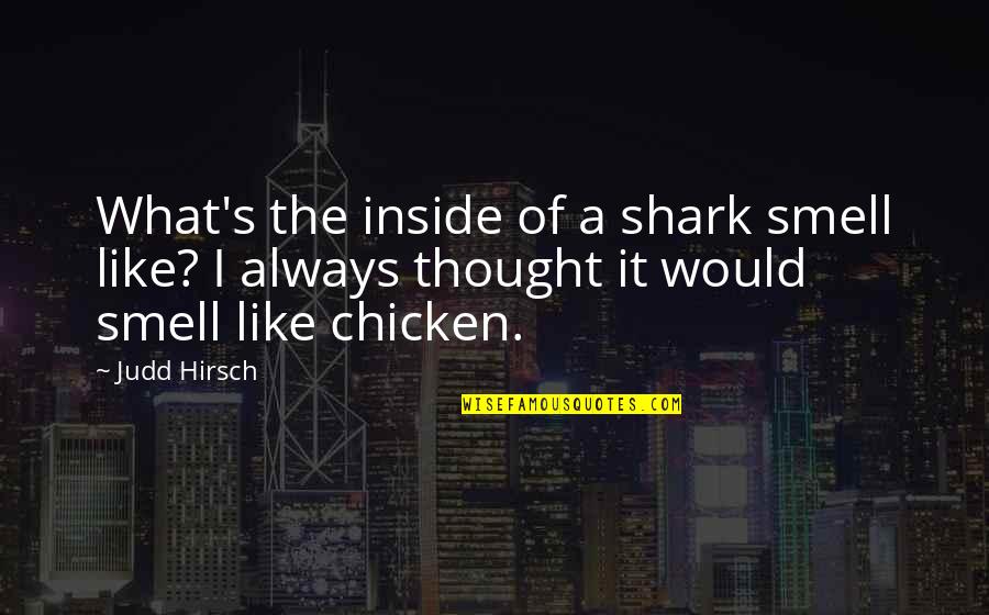Judd's Quotes By Judd Hirsch: What's the inside of a shark smell like? Judd's Quotes By Judd Hirsch: What's the inside of a shark smell like?
