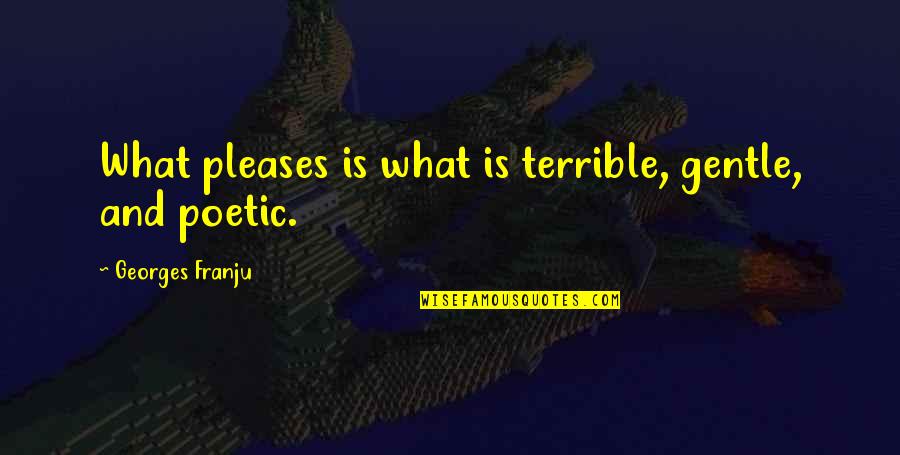 Judge Elihu Smails Quotes By Georges Franju: What pleases is what is terrible, gentle, and