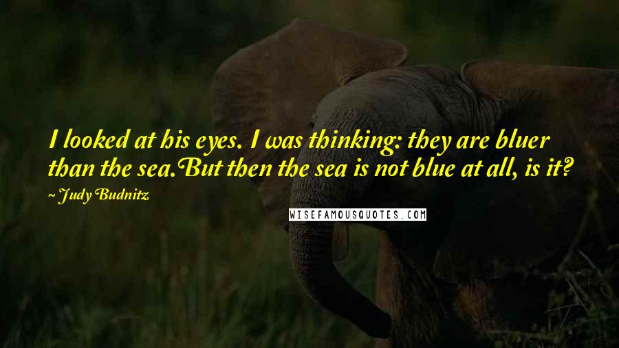 Judy Budnitz quotes: I looked at his eyes. I was thinking: they are bluer than the sea.But then the sea is not blue at all, is it? Judy Budnitz quotes: I looked at his eyes. I was thinking: they are bluer than the sea.But then the sea is not blue at all, is it?