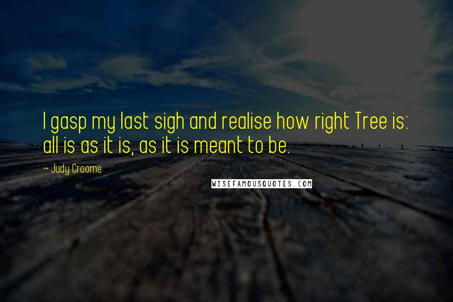 Judy Croome quotes: I gasp my last sigh and realise how right Tree is: all is as it is, as it is meant to be.